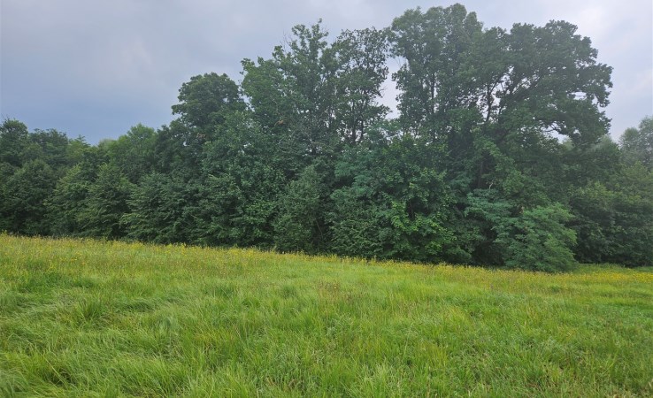 działka na sprzedaż - Jasienica, Mazańcowice