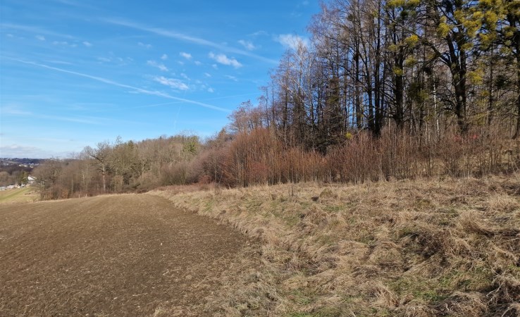 działka na sprzedaż - Jasienica, Łazy